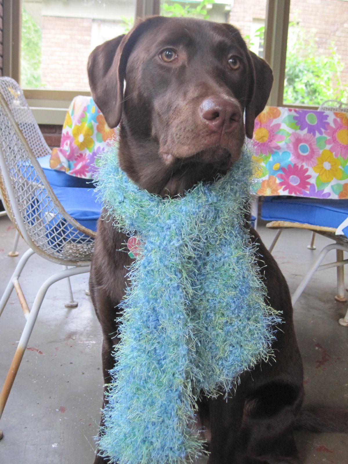 [scarf2.jpg]