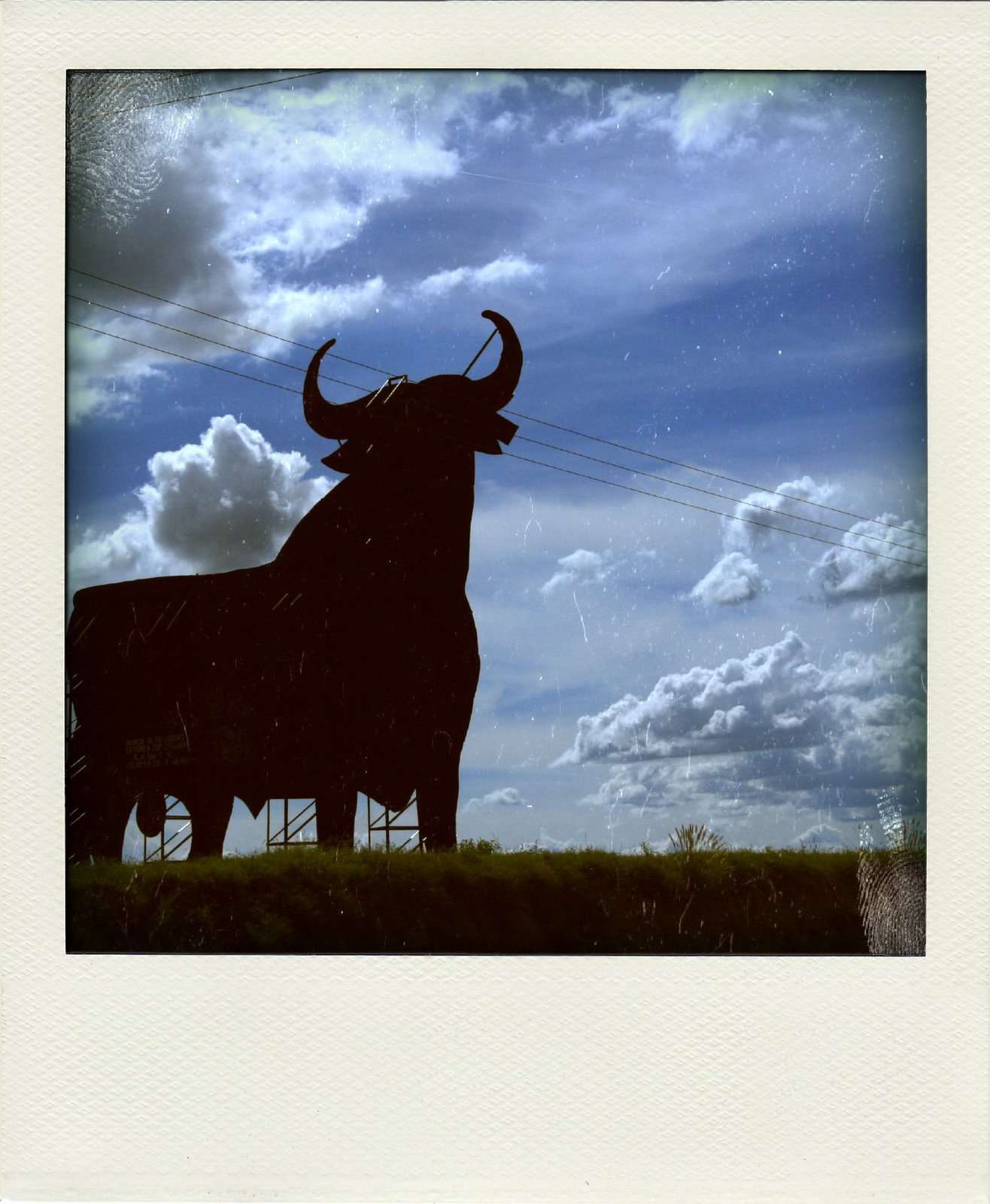 [bull.jpg]