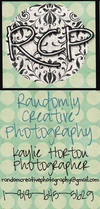 My Photography Blog