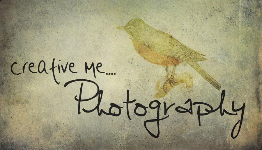 Creative Me Photography