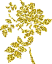 [i247630512_48487_7.gif]