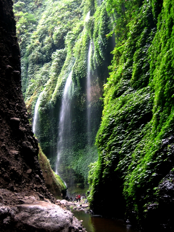 the beauty of visiting a waterfall Dudhsagar waterfalls trip it was an excellent trip with sea water sports, dudhsagar waterfall visit was one of the best memorable trips of my life the natural beauty and white (milk) waterfall were the best it was an awesome experience thank u garima bhaskar july 24, 2018. the beauty of visiting a waterfall Dudhsagar waterfalls trip it was an excellent trip with sea water sports, dudhsagar waterfall visit was one of the best memorable trips of my life the natural beauty and white (milk) waterfall were the best it was an awesome experience thank u garima bhaskar july 24, 2018.