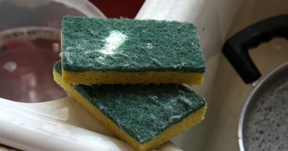 10 Kitchen Sponge Uses You Haven't Thought of Before