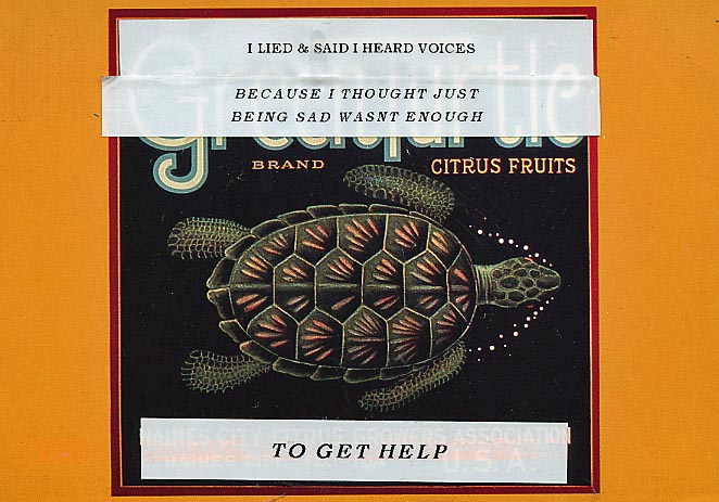 [greenturtle.jpg]