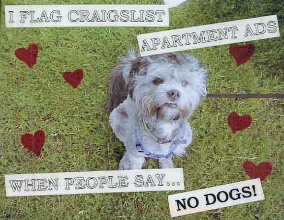 [no+dogs.jpg]