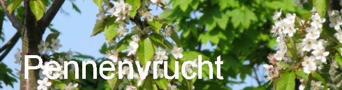 pennenvrucht