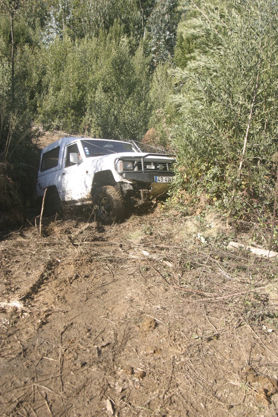 [IMG_1598.JPG]