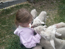 These lambs know where sweetness is