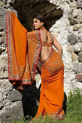 Nayanthara+hot+photos+in+saree