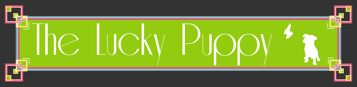 The Lucky Puppy