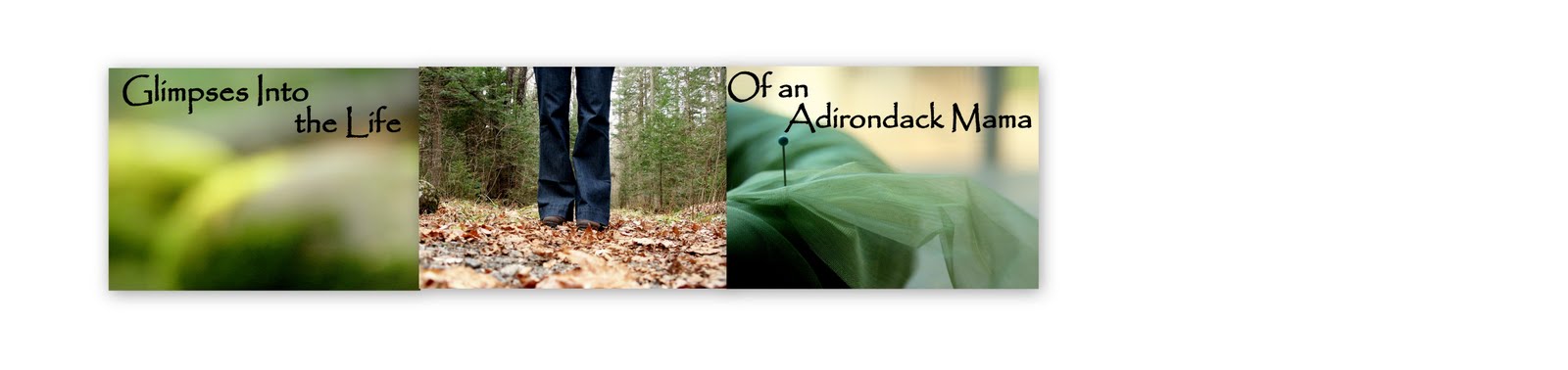Glimpes into the life of an Adirondack Mama