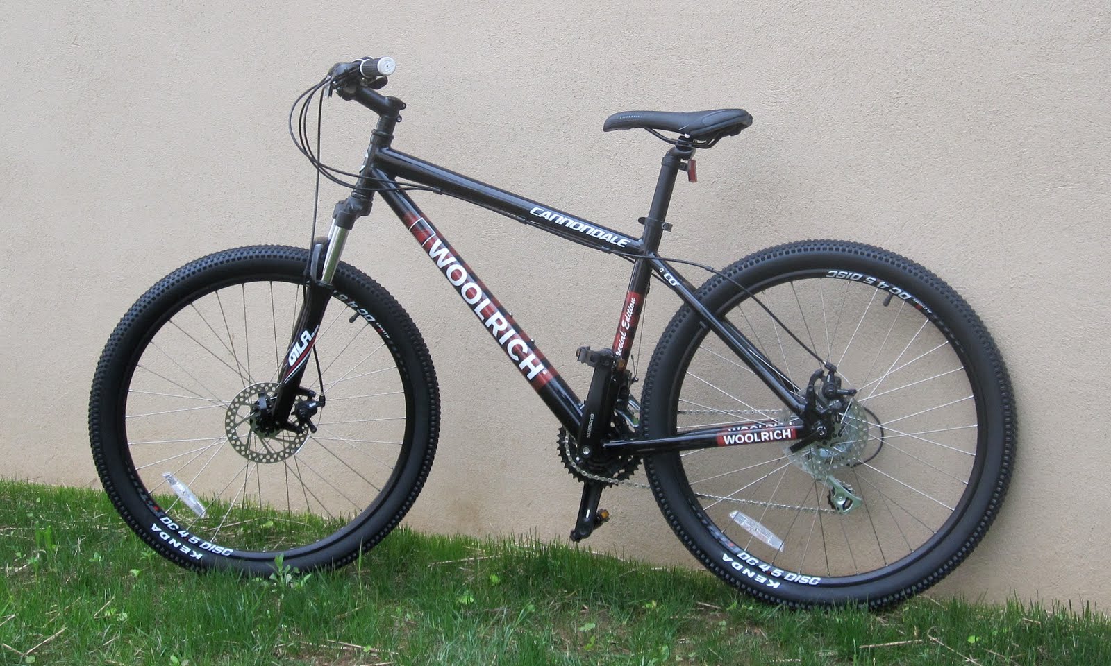 Buffalo Bike