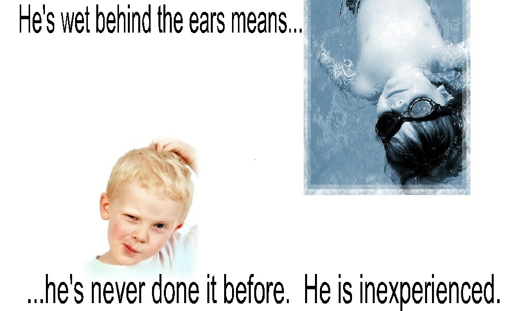 English 101 Help for the literal minded Wet behind the ears