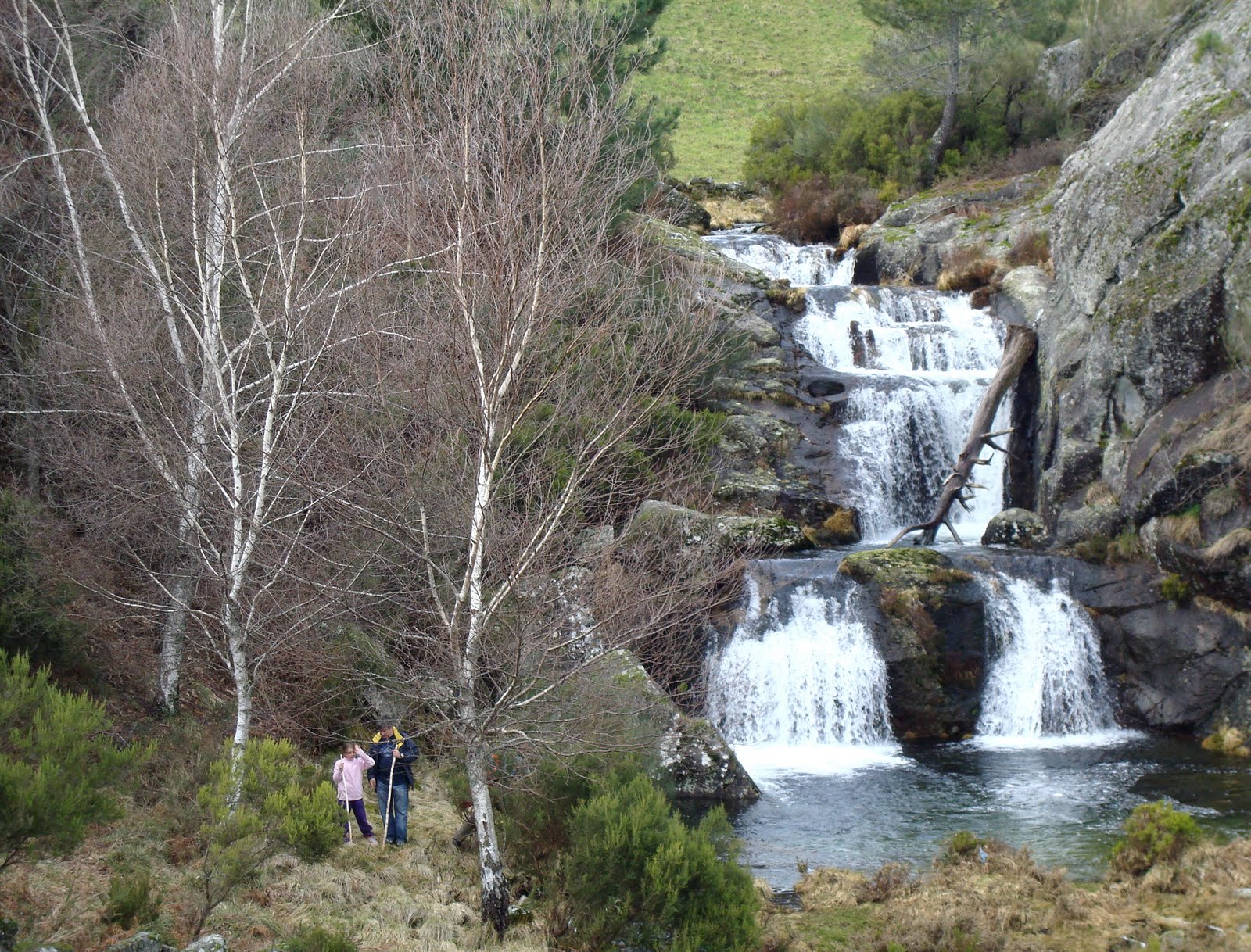 [DSC07355.JPG]