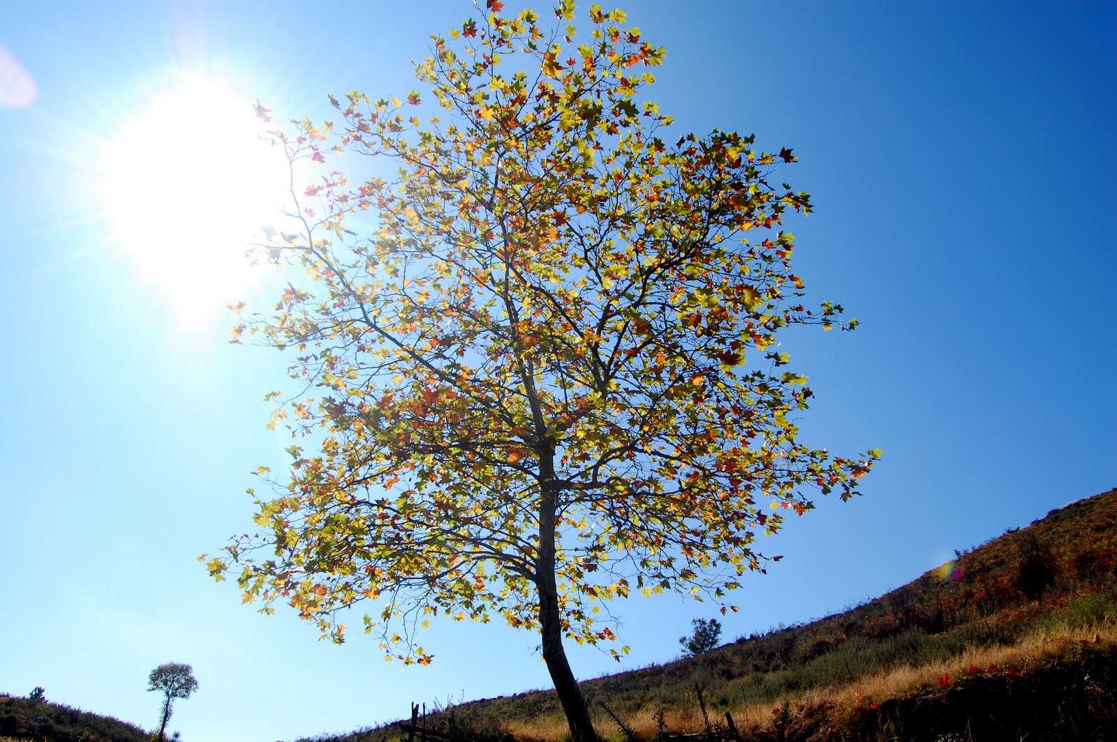 [DSC_0113.JPG]