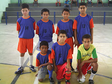 ARSENAL MIRIM - 2009