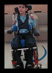 Cadeira de rodas adaptada