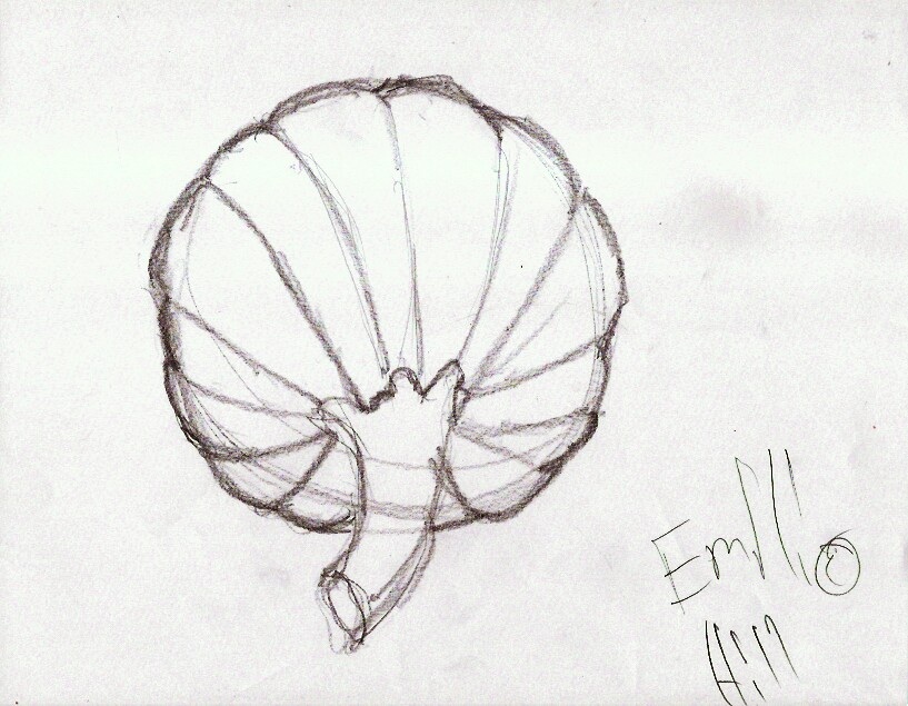 Contour Line Drawing Of Natural Forms : Natural bridges sketchers