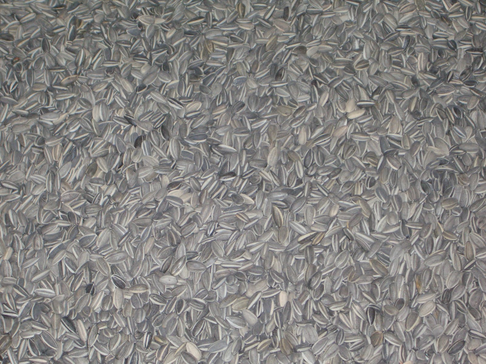Healing This Wounded Earth Ai Weiwei Sunflower Seeds at Tate Modern