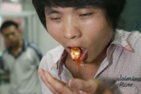 chines