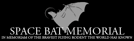 Space Bat Memorial