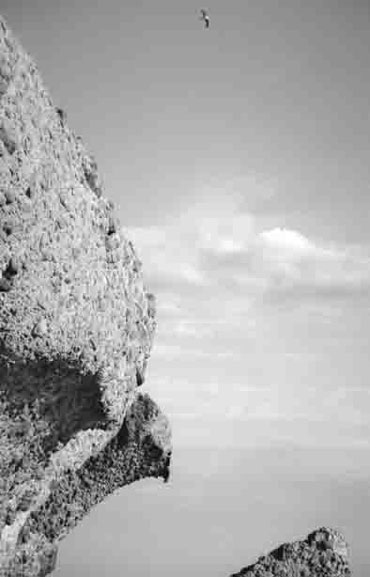 [CAFBajaCaladelaMediaLuna.jpg]