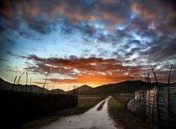 [Maxi_Limeres--253x186.jpg]