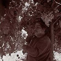 [20040315_ent-01.jpg]