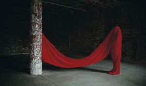 [Trashumance+II-+Laura+Torrado.jpg]