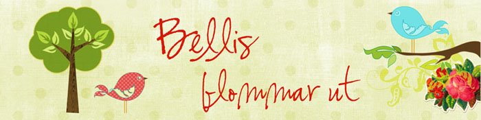 Bellis blommar ut