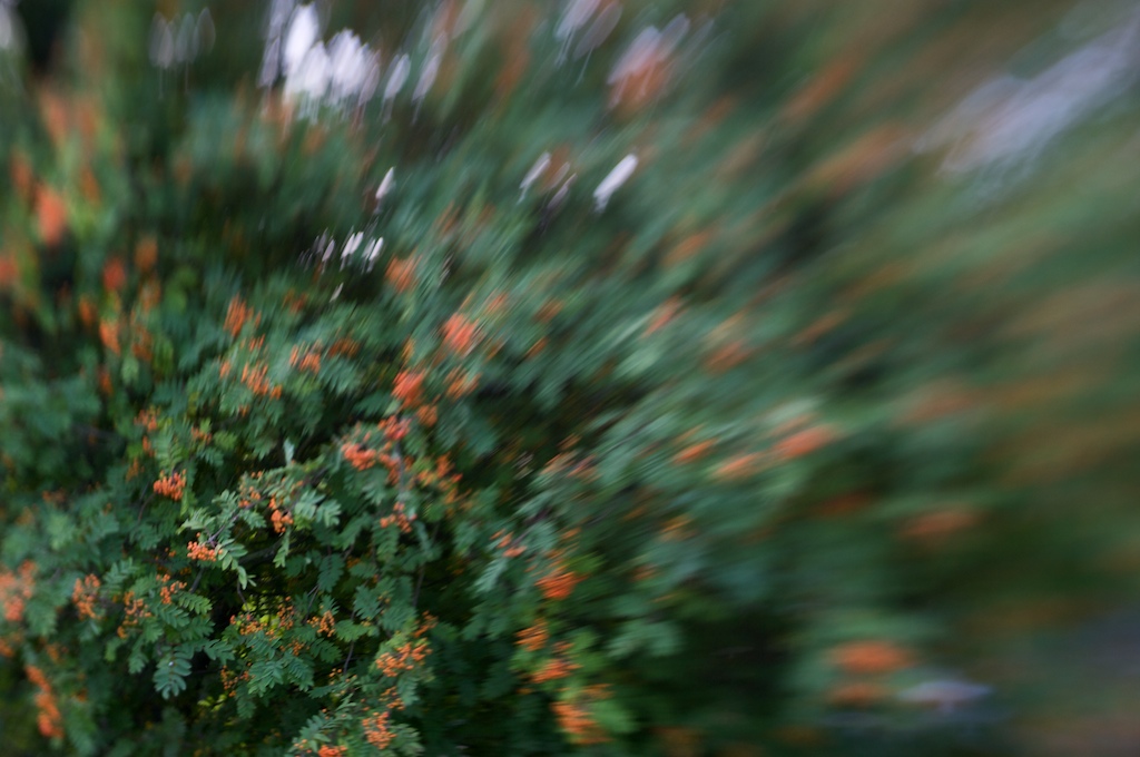 [CRW_87+2009-07-23.jpg]