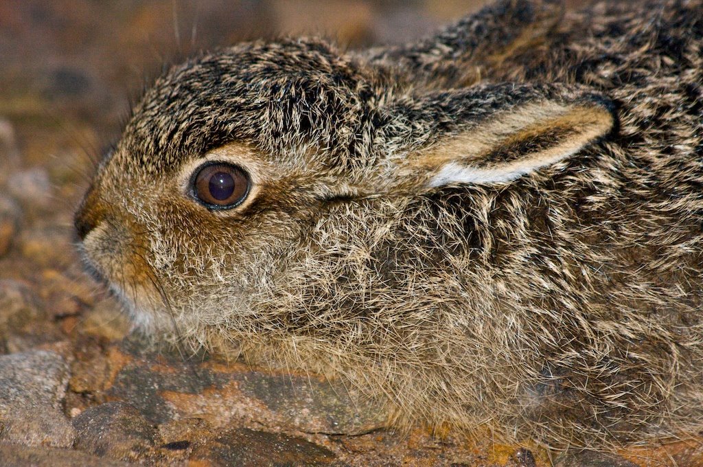 [CRW_164+2009-07-24.jpg]