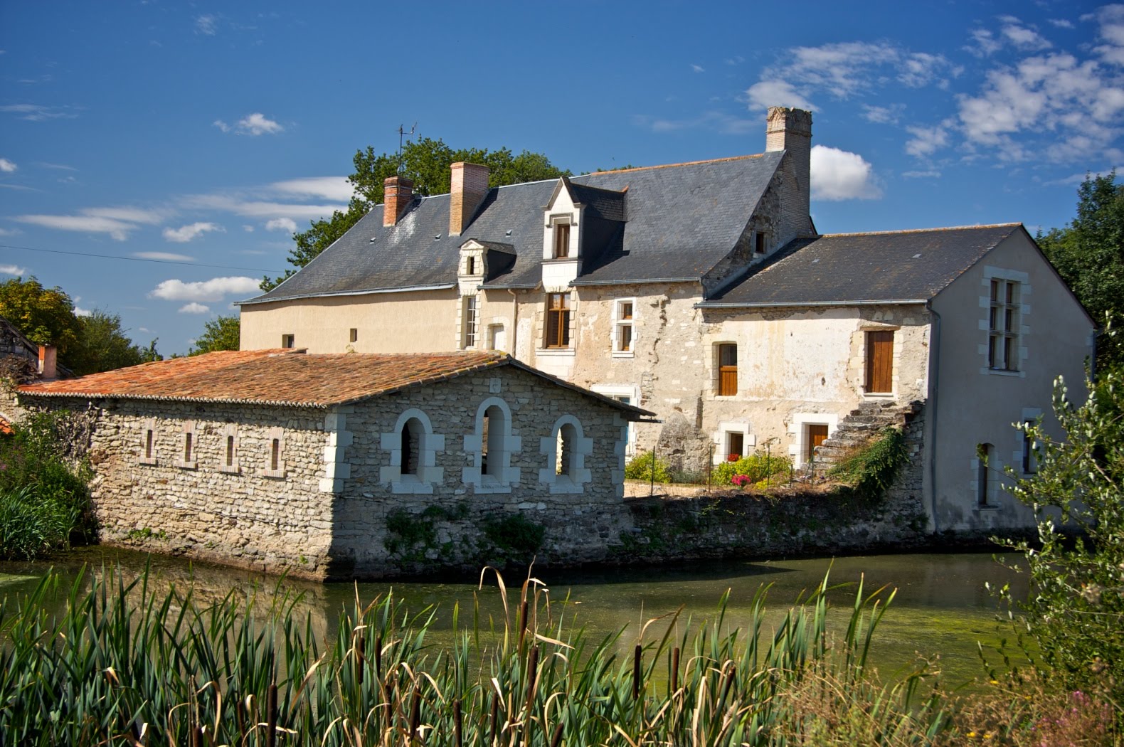 [IMG_0267+-+2009-08-26+at+10-53-06.jpg]