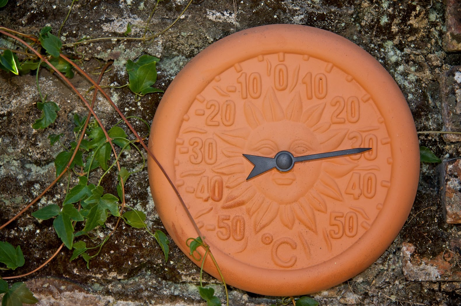 [IMG_9739+-+2009-08-22+at+15-50-43.jpg]