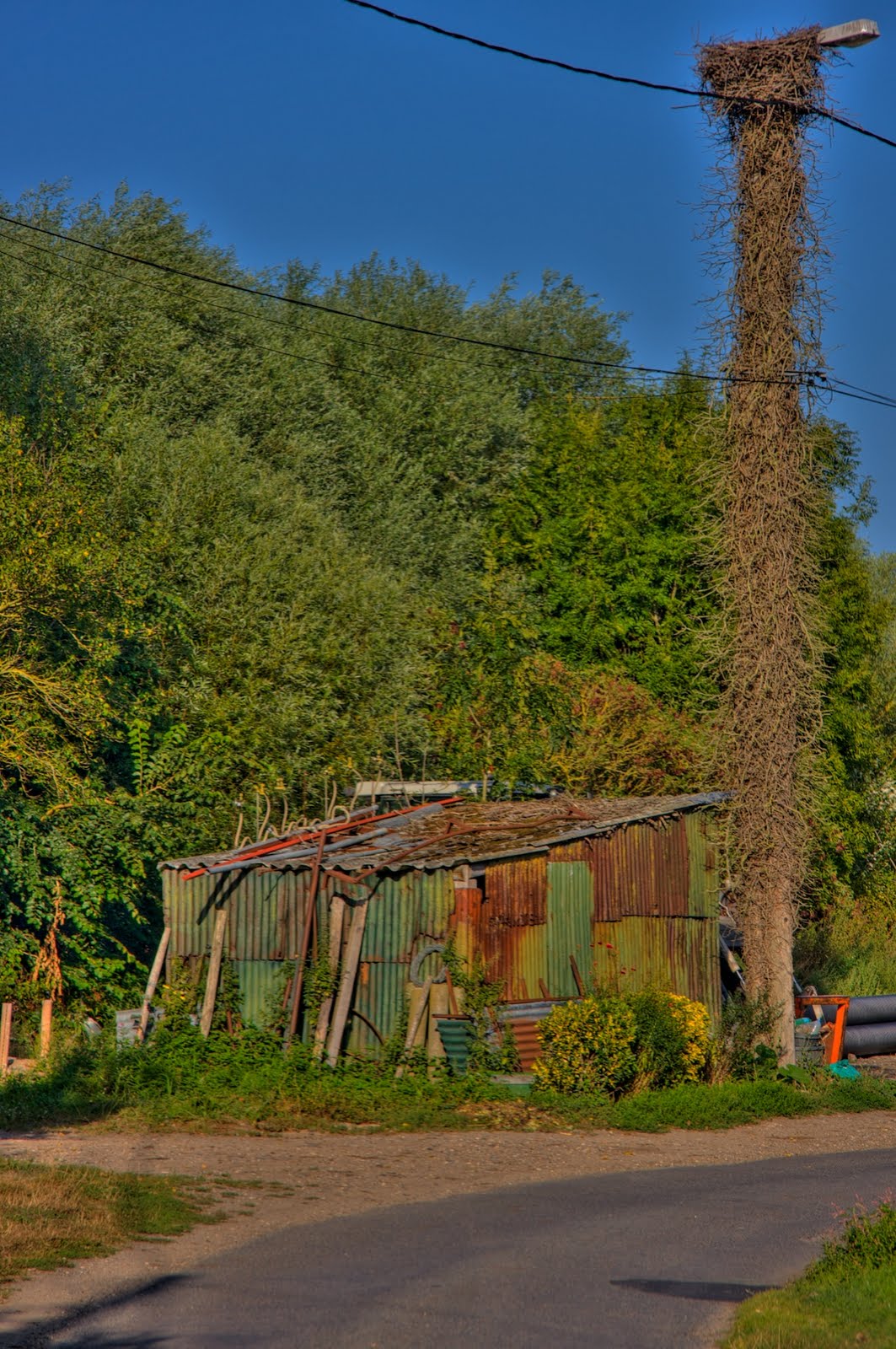 [IMG_9314+-+2009-08-15+at+17-53-20.jpg]