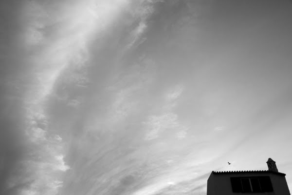 [IMG_5631web.jpg]