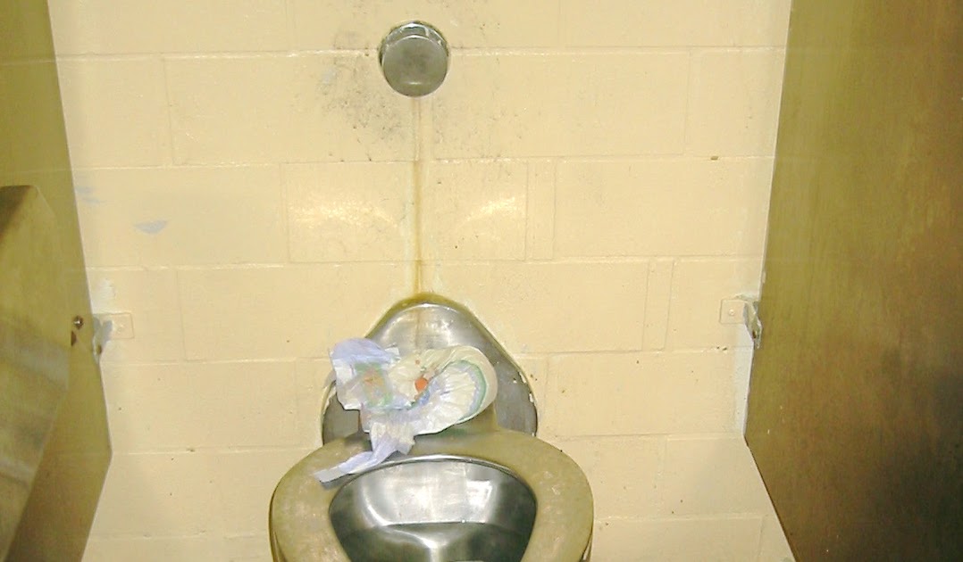 Best View in Brooklyn Dirty Diapers and Toilet Paper Belong in the