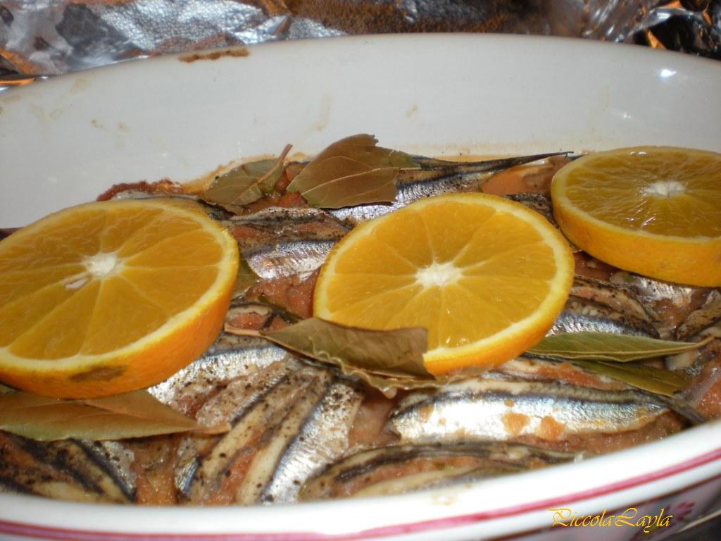 [DSCN0036.JPG]