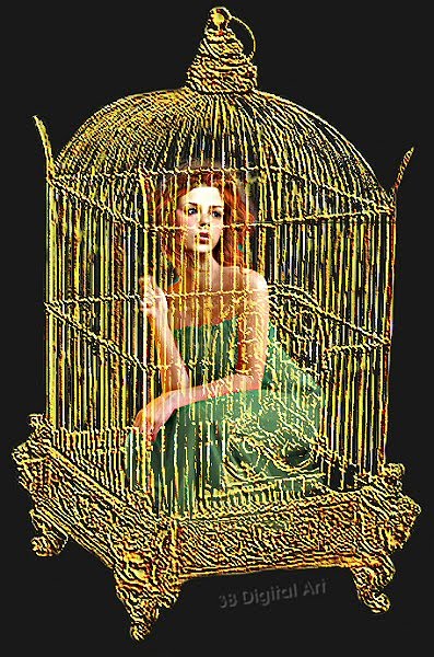sad caged bird