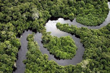 Floresta Amazônica