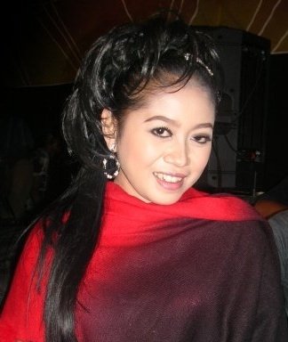 Download Lagu Dangdut Ingkar Janji - skyprocess