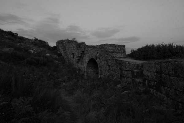 [DSC09516.JPG]