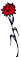 [Cravo.gif]