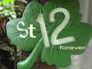 logo st 12