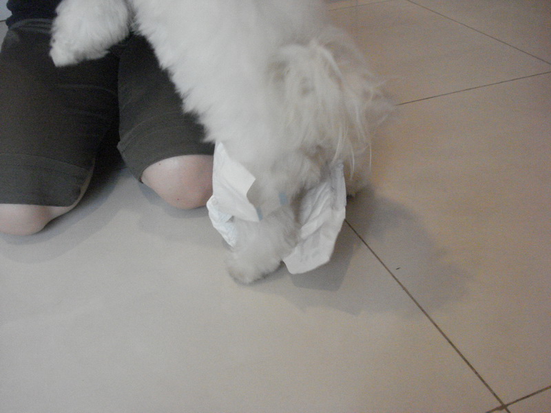 [DSC07579.JPG]
