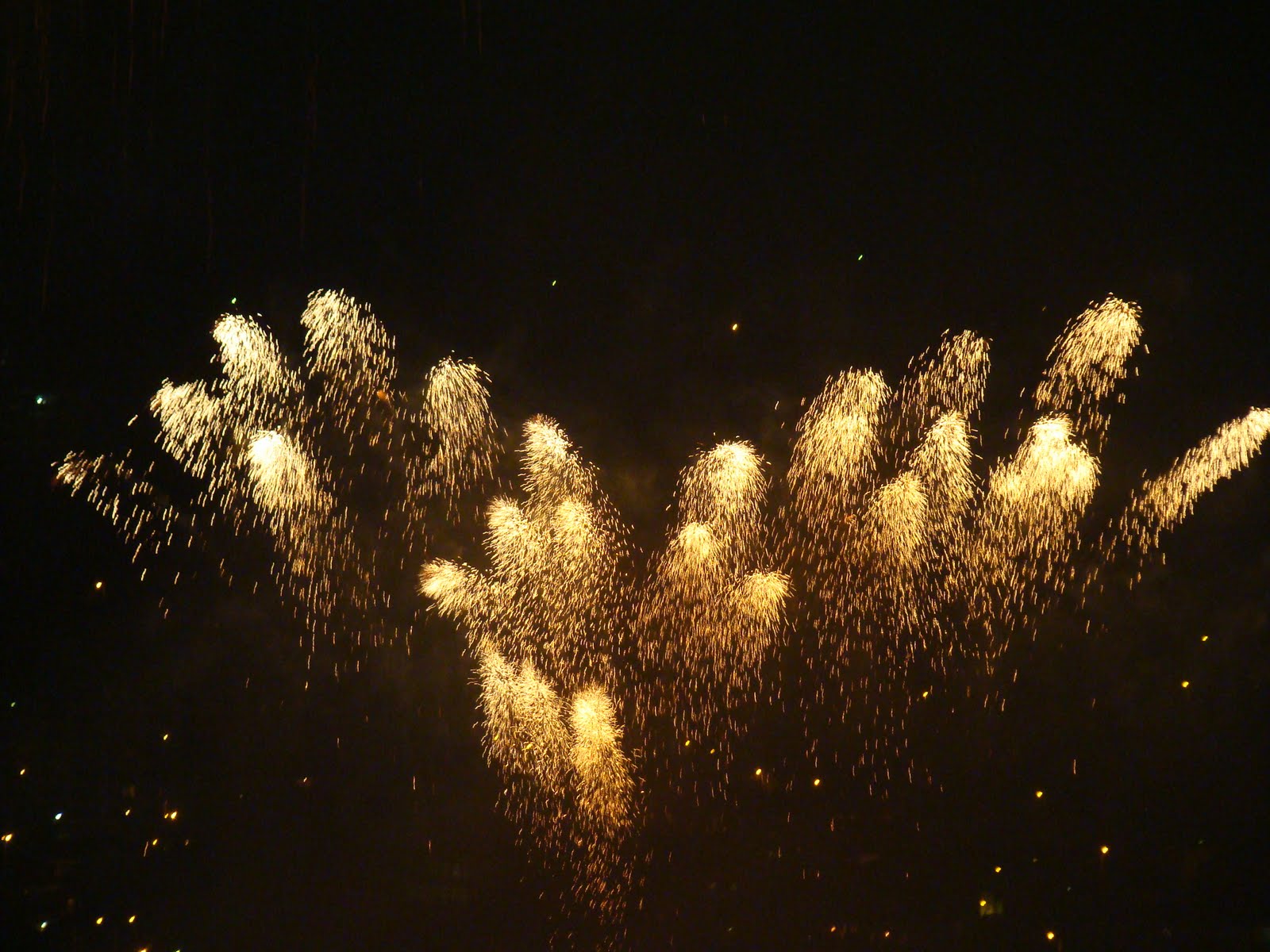 [31-12-2009+(147).JPG]