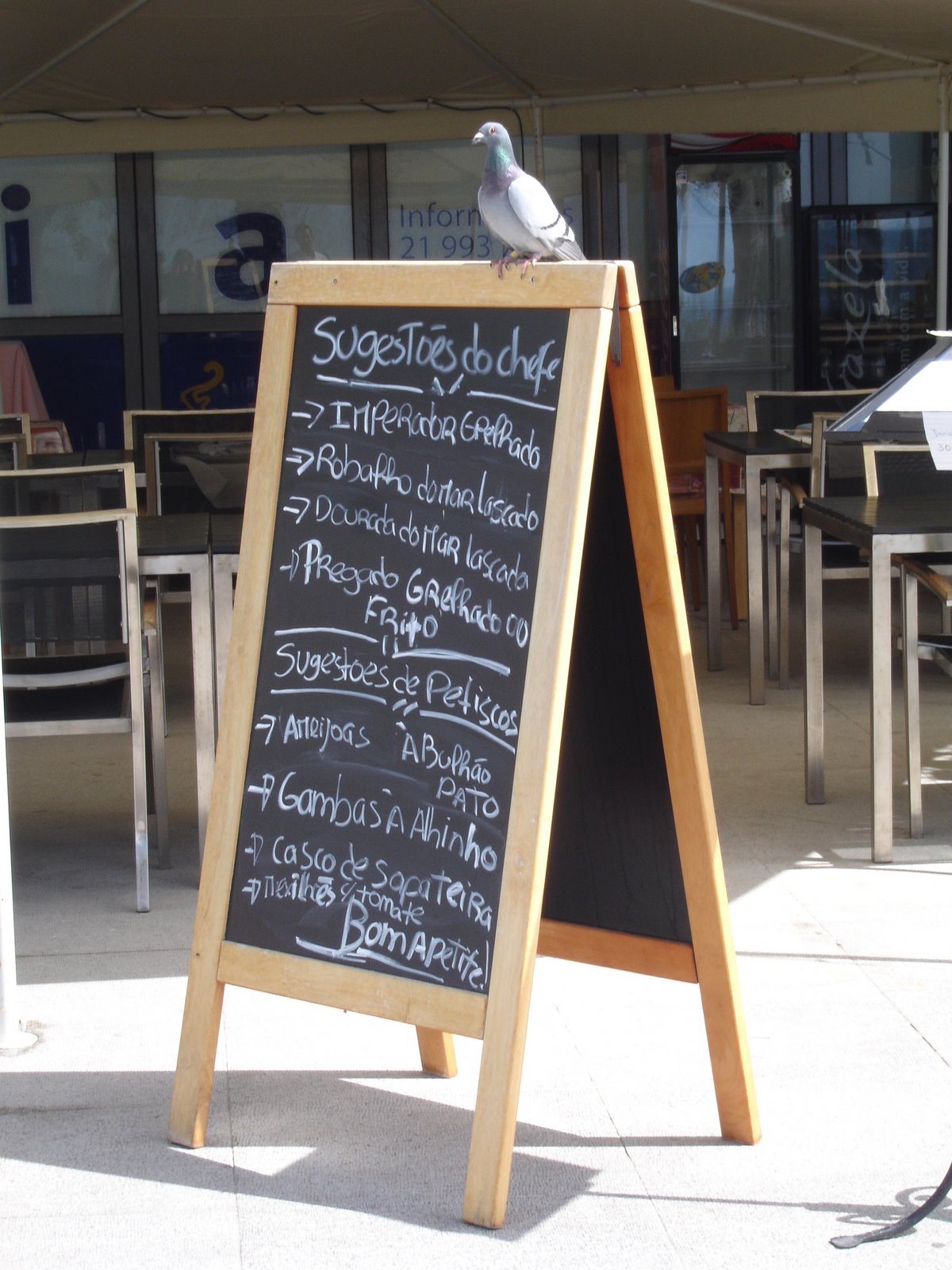 [DSC08115.JPG]