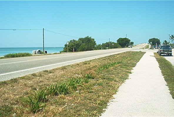 [IM000822.JPG]