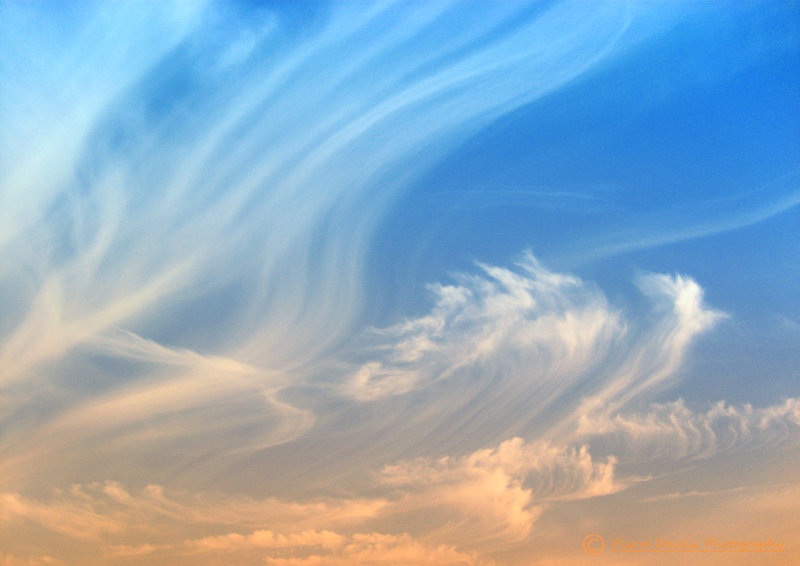 [Sky_artistry_by_PierreDevlin.jpg]