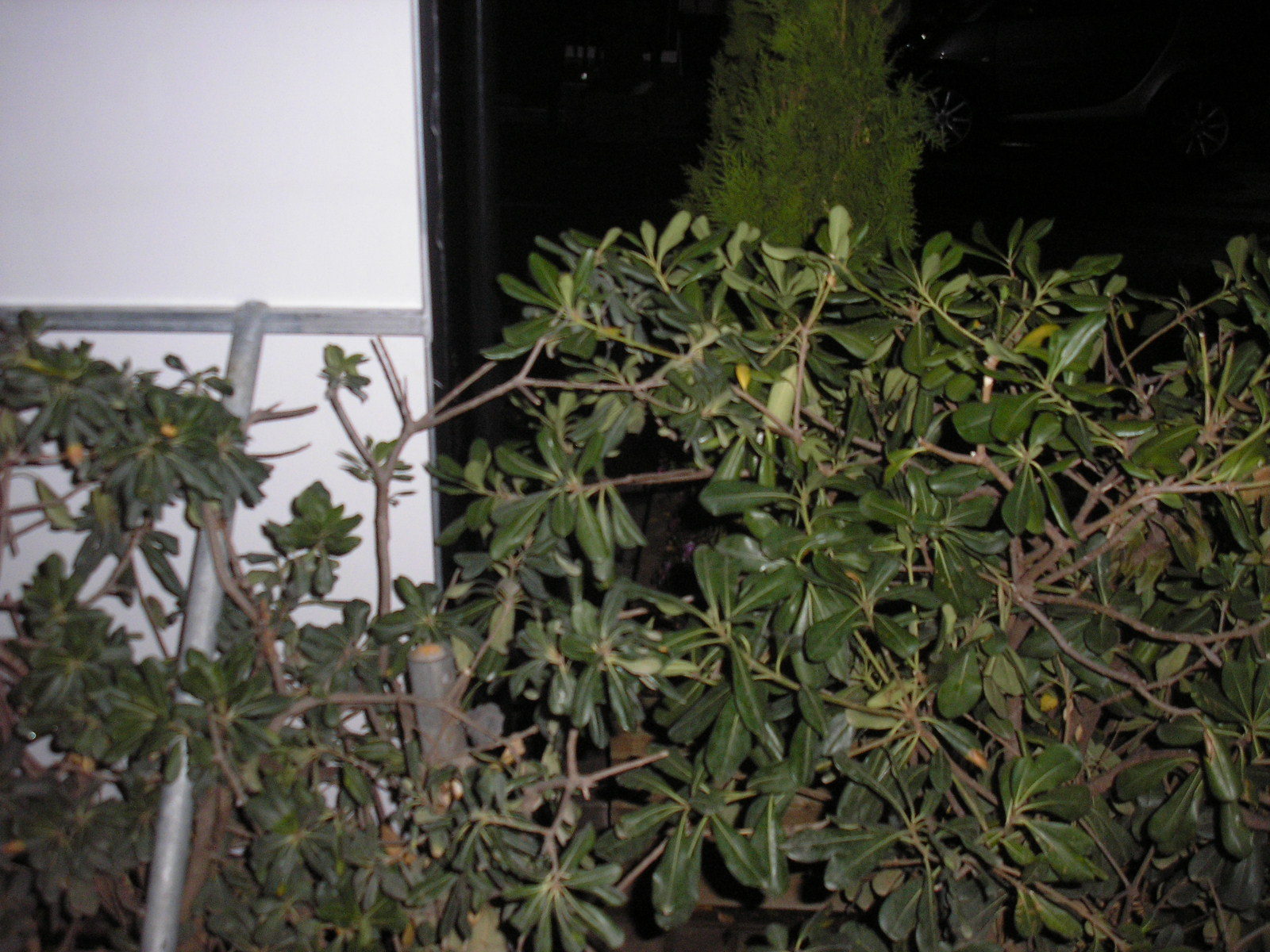 [pa250003.jpg]